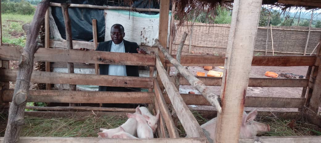 Porcherie de la fondation à Gisuru avec ses porcs